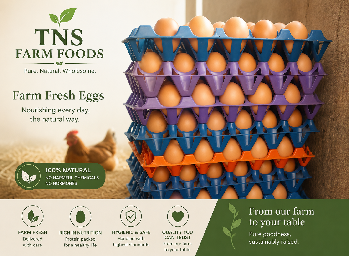 Farm Eggs